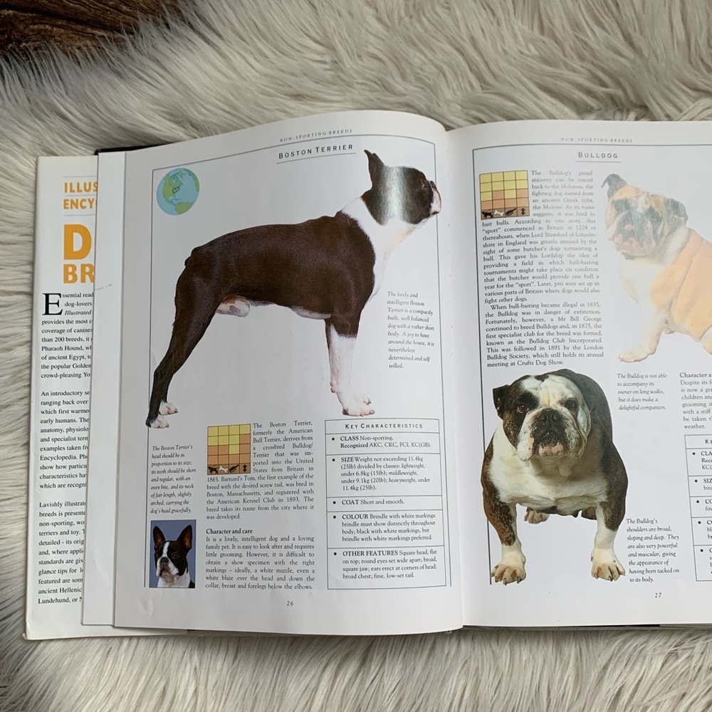 The Illustrated Encyclopedia of Dog Breeds - Picture 6 of 7